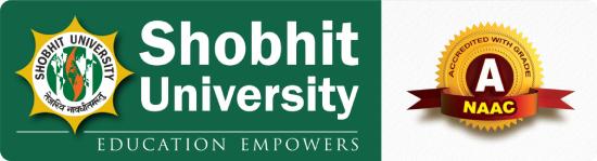 Shobhit University